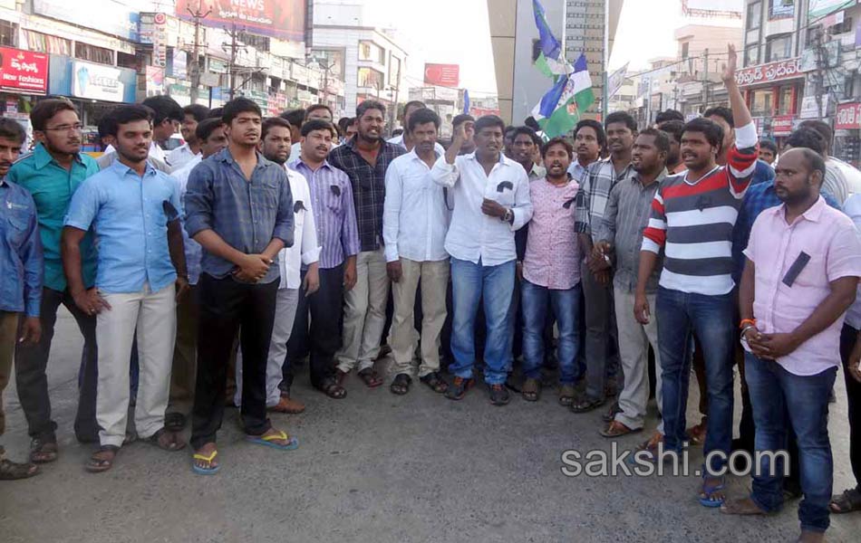 YSCP protesting on status - Sakshi13