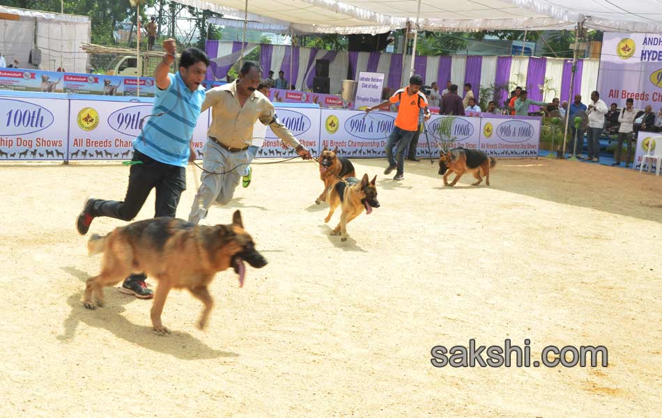 High  Breed - Sakshi14