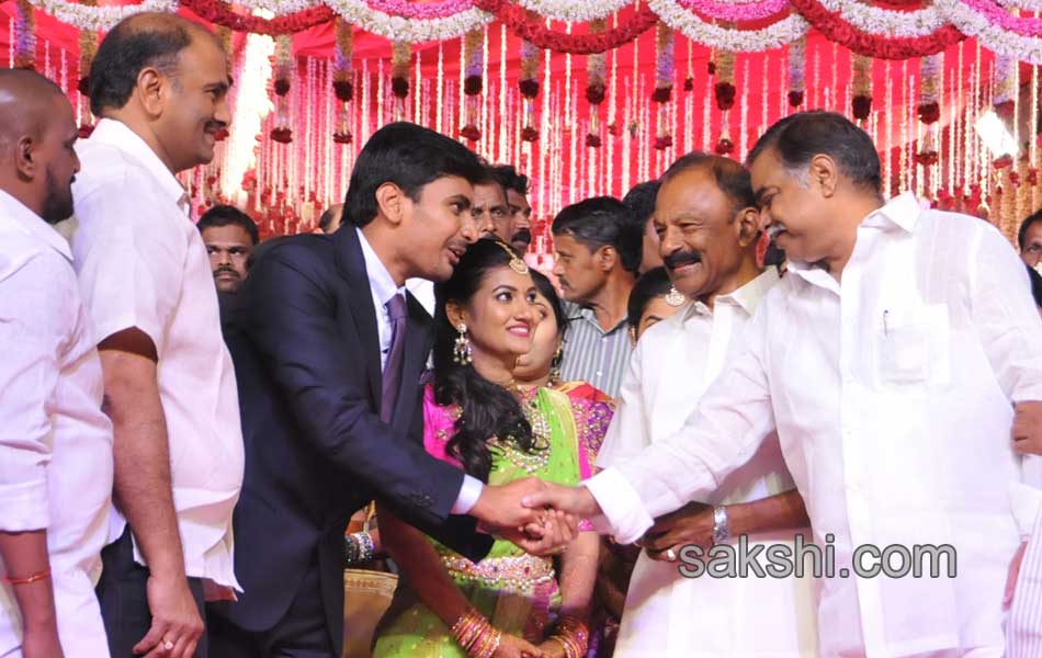 Bhumana Karunakar Reddy Son Abhinay Reddy Wedding Reception22