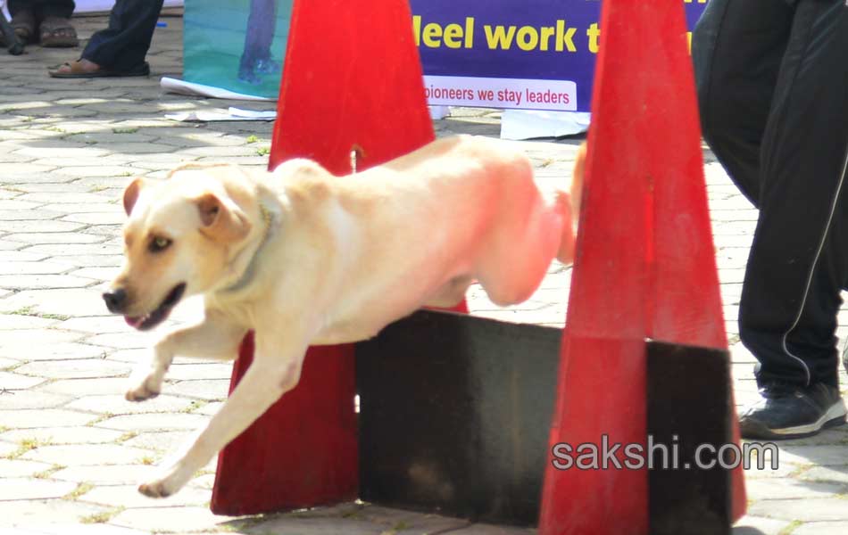 Cute Dog Show - Sakshi4