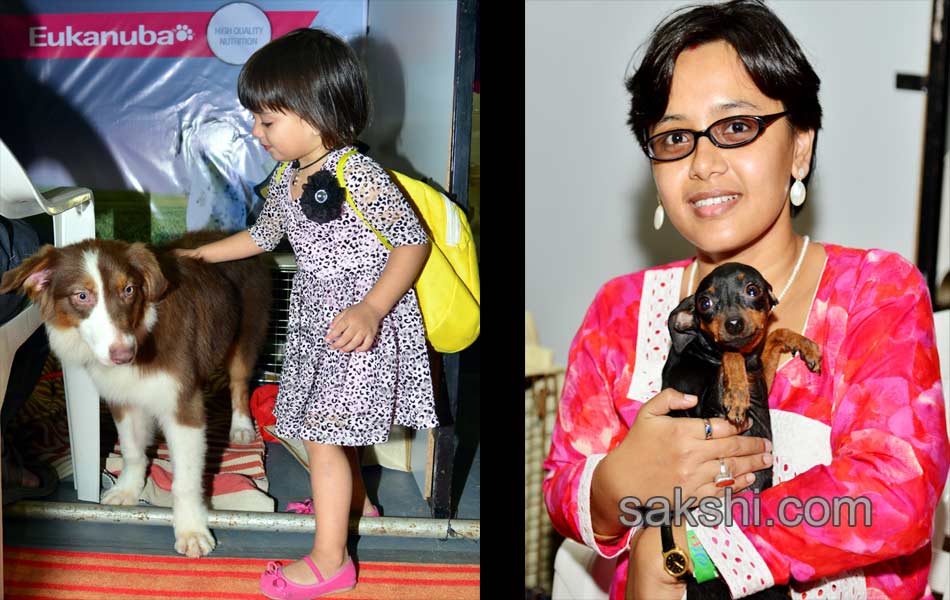 Cute Dog Show - Sakshi9