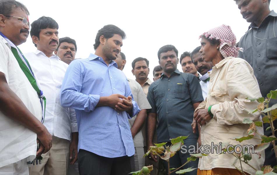 good response to ys jagan mohan reddy election campaign in warangal - Sakshi7