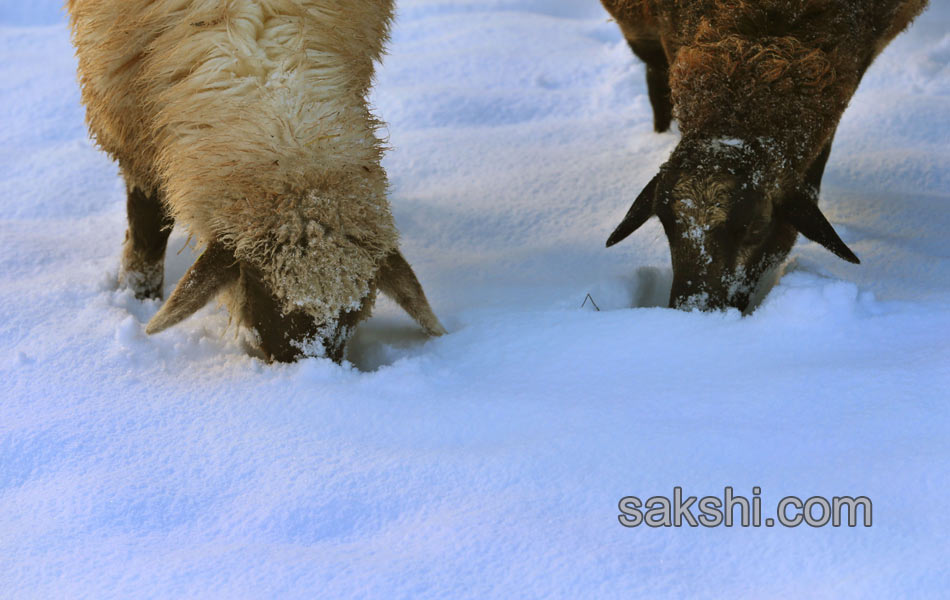 SNOW FALL GERMANY9