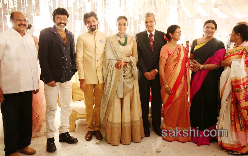 Film producer Aswini Dutts daughter Wedding Reception - Sakshi19