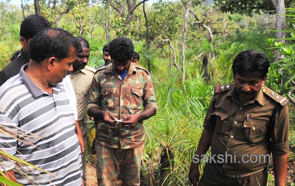 Erracandanam smugglers in seshachalam forest5