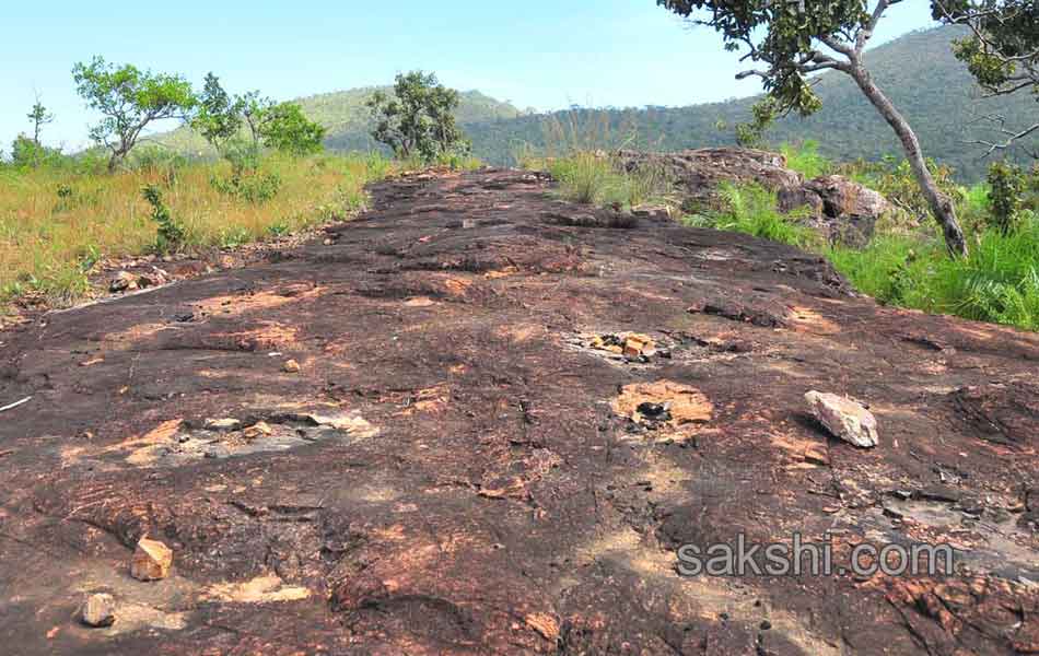 Erracandanam smugglers in seshachalam forest17