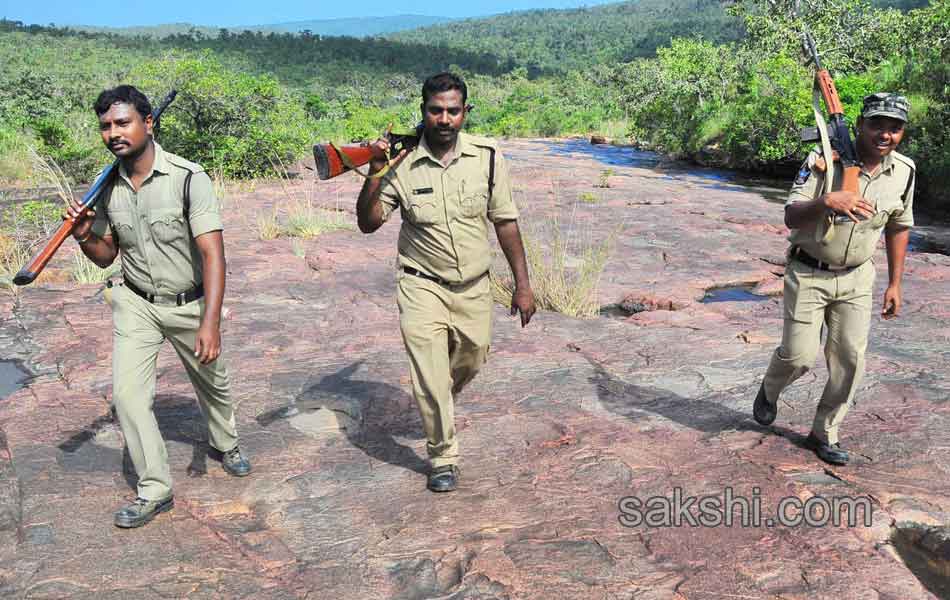 Erracandanam smugglers in seshachalam forest20