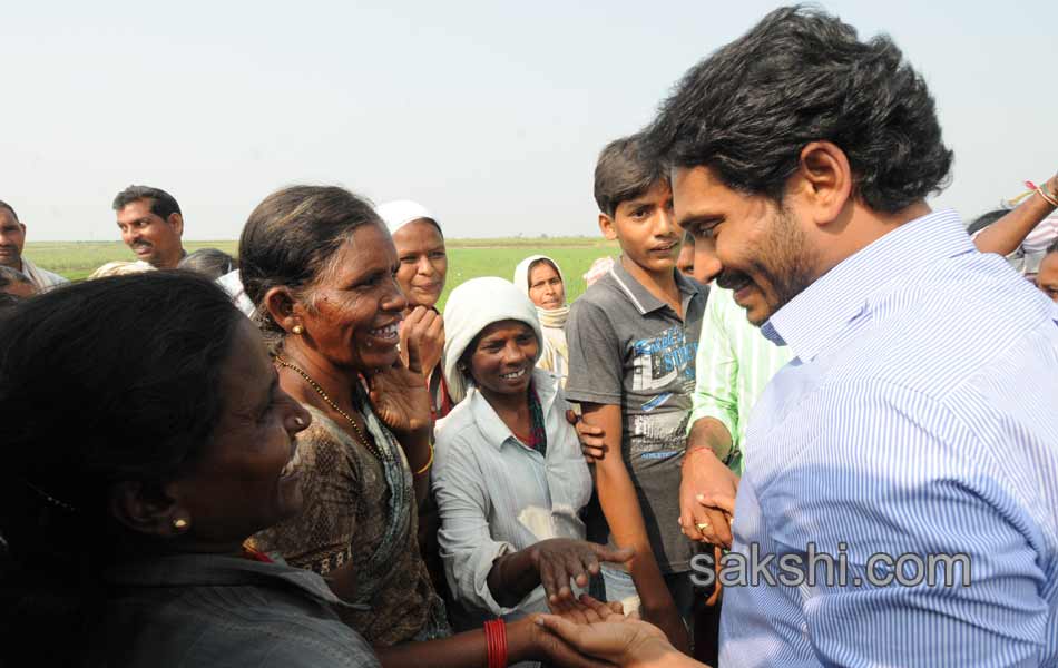 YS Jagan tour in YSR district - Sakshi12