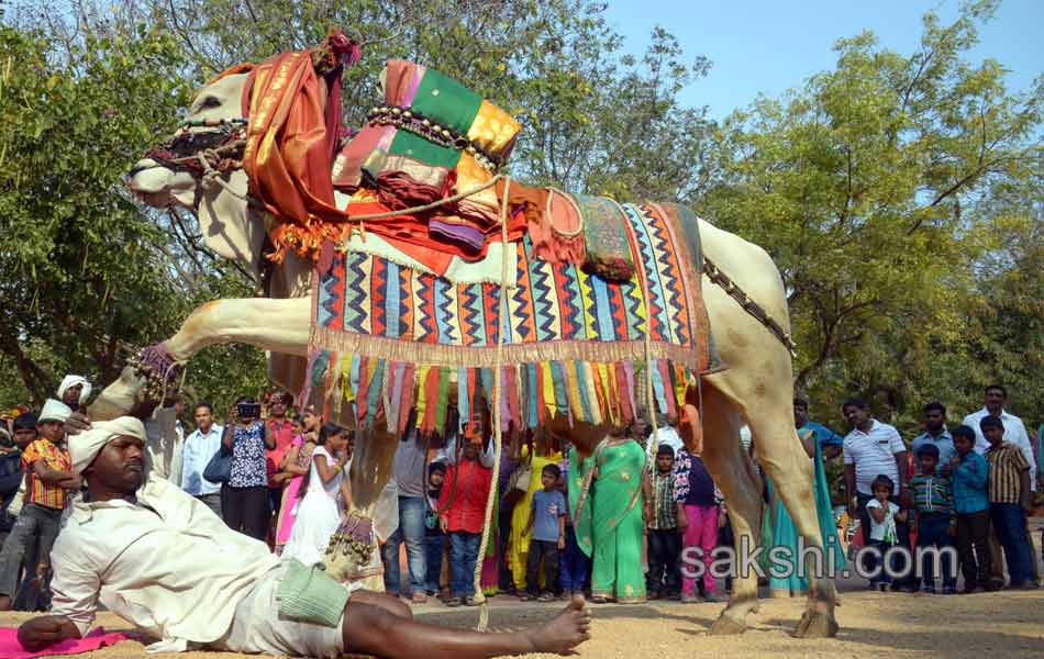 Kite Festival in hyderabad19