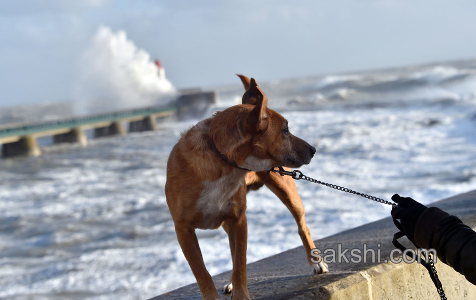 Waves crash near the Port2