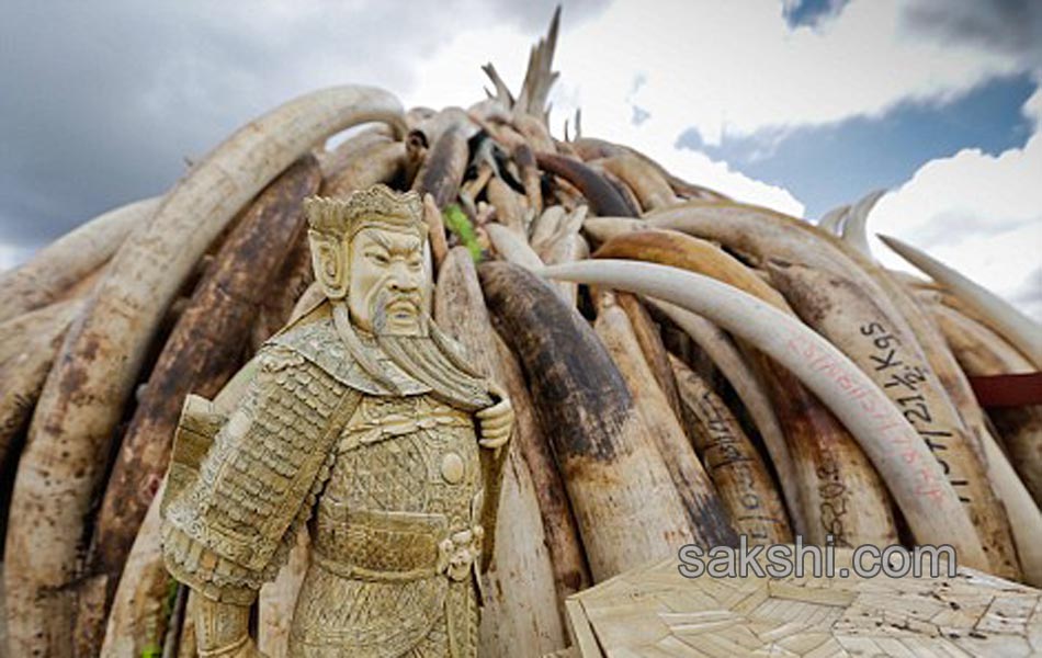 Kenya Burns Elephant Ivory Worth 105 Million to Defy Poachers2