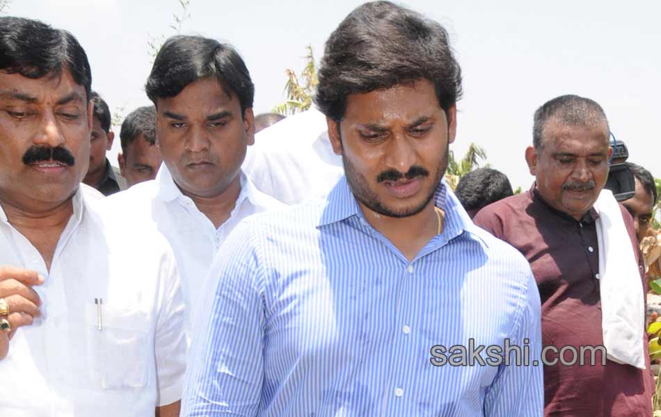 ys jaganmohan reddy tour in  pulivendula - Sakshi4