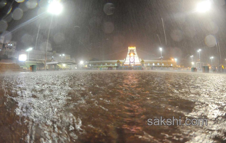 tirumala hevy rain14