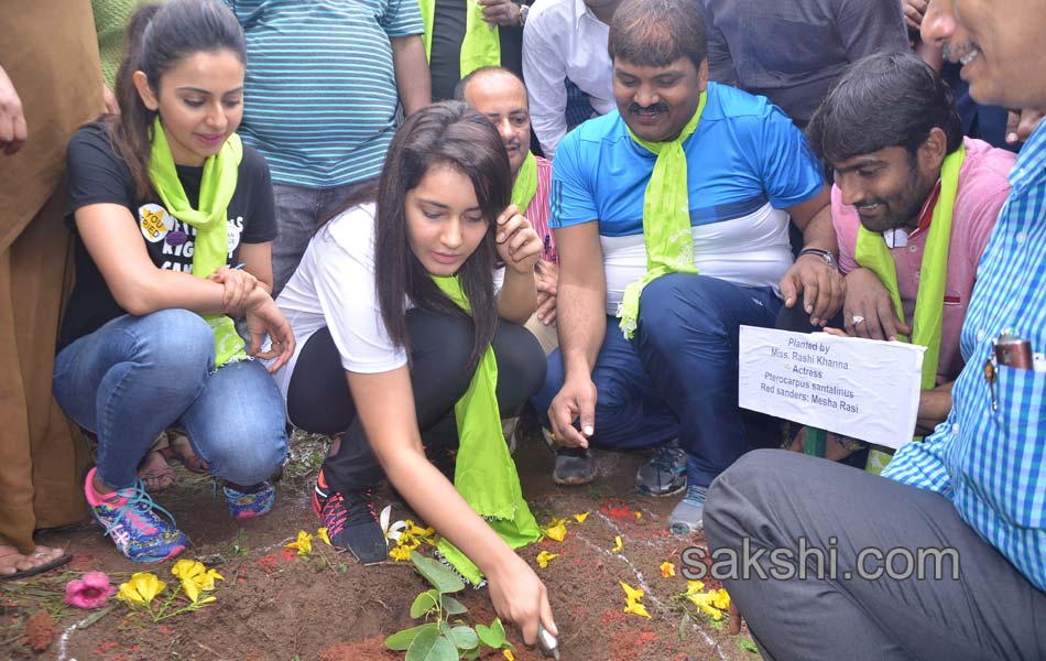 tollywood actors and actresses participate in telangana haritha haaram - Sakshi2