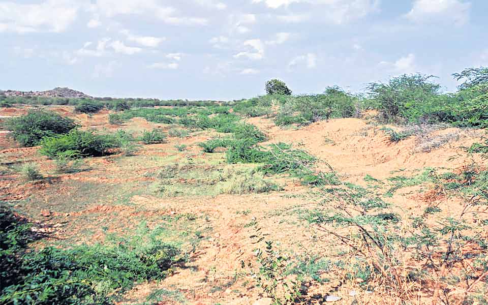 DROUGHT IN PRAKASAM2