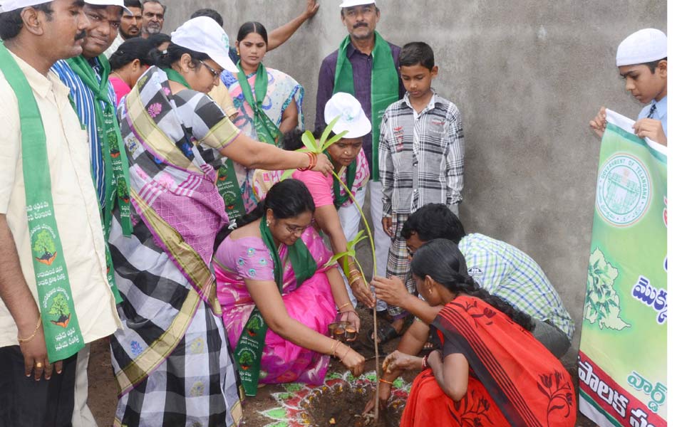 harithaharam - Sakshi9