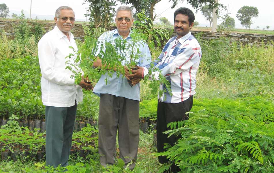 Plantation in guntur dist3