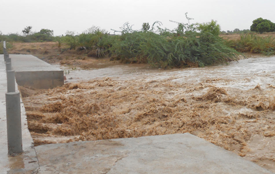 rain in kurnool district - Sakshi1