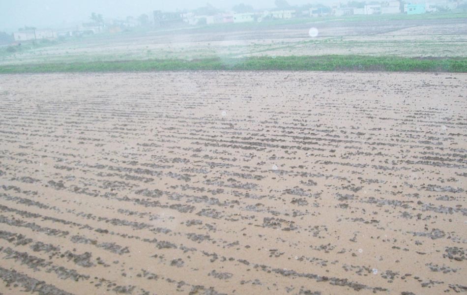 rain in kurnool district - Sakshi2