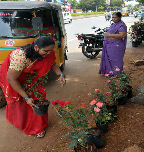 Kadiyam nurseries at Nellore - Sakshi4