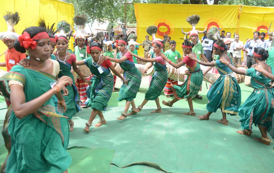 adivasi festival very well4