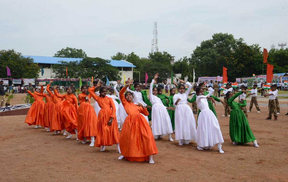 national flag celebrate - Sakshi1