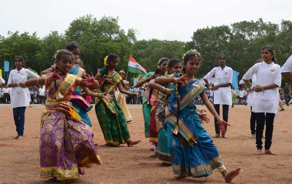 national flag celebrate - Sakshi20