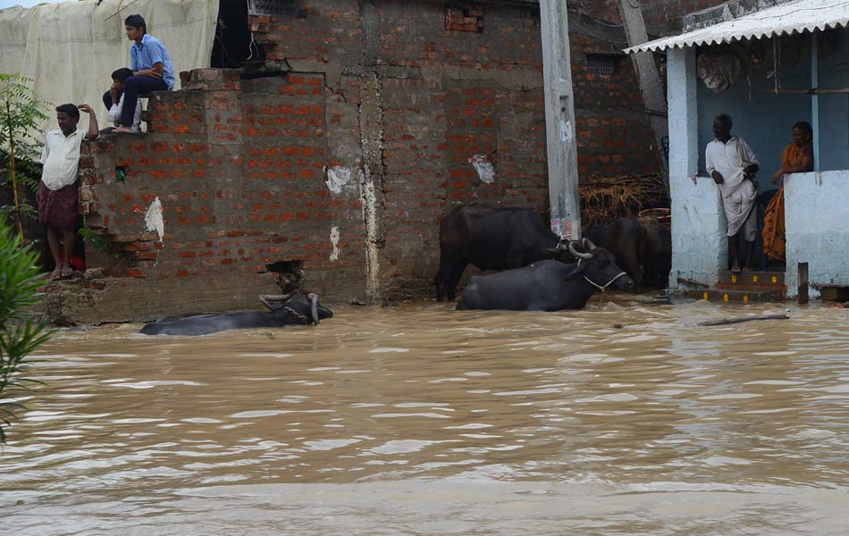 Heavy rains in guntur district11