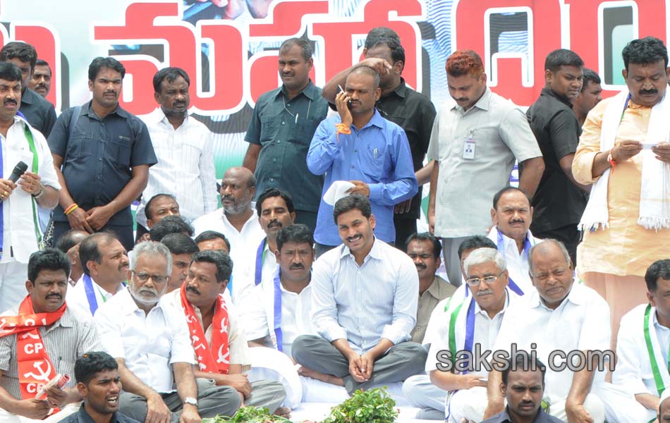 YS Jagan mohan reddy raithu maha dharna in YSR - Sakshi8