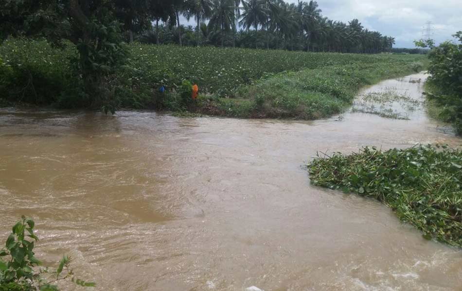 flood water - Sakshi9