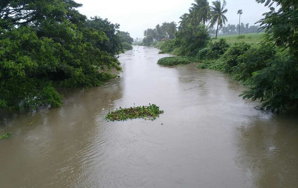 flood water - Sakshi14