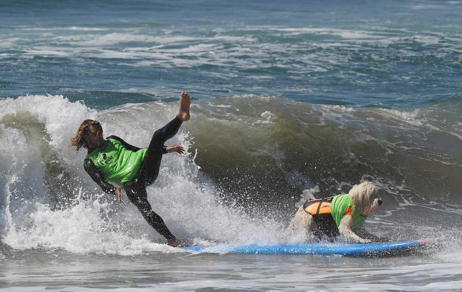 Surf Dog event - Sakshi2