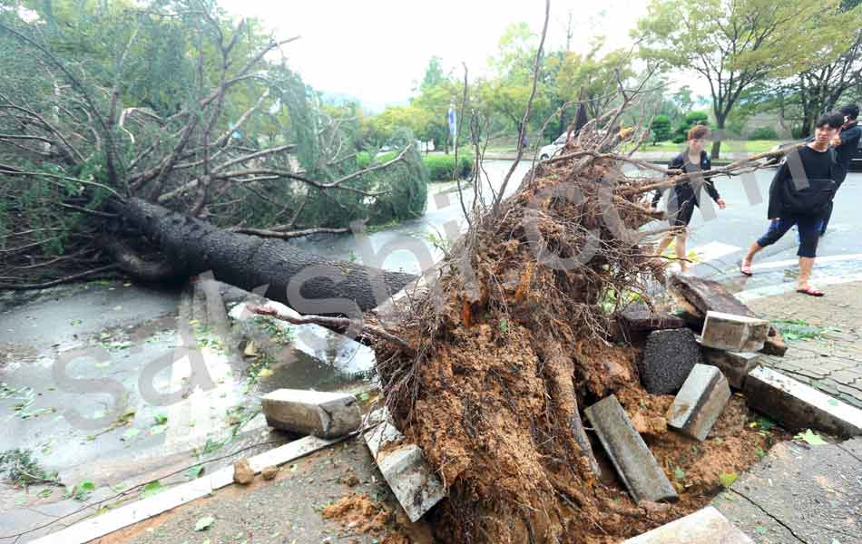 powerful typhoon chaba barrels toward japan3