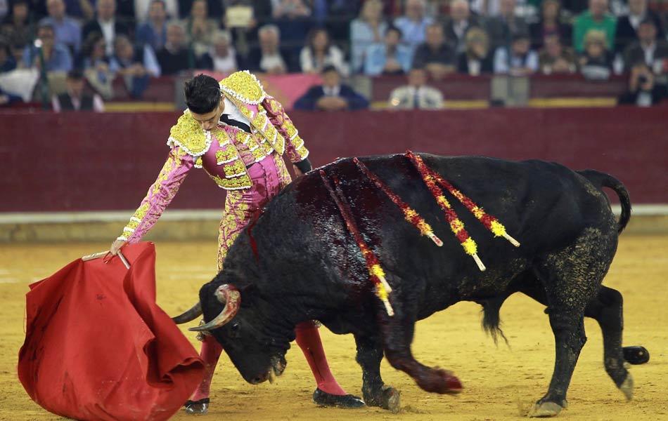 Bull fight festival in spain - Sakshi4