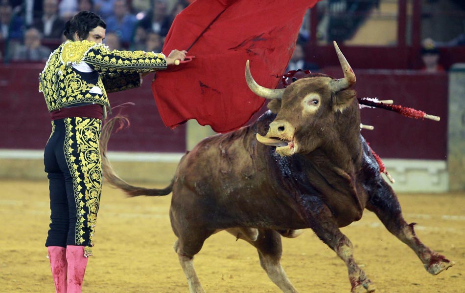 Bull fight festival in spain - Sakshi7