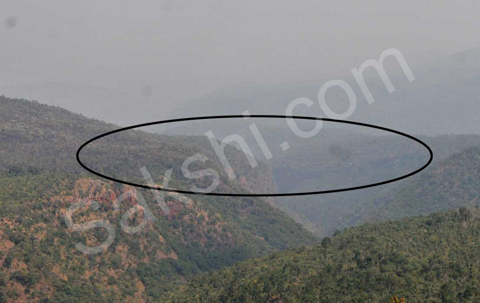 fire accident at tirumala seshachalam forest - Sakshi3