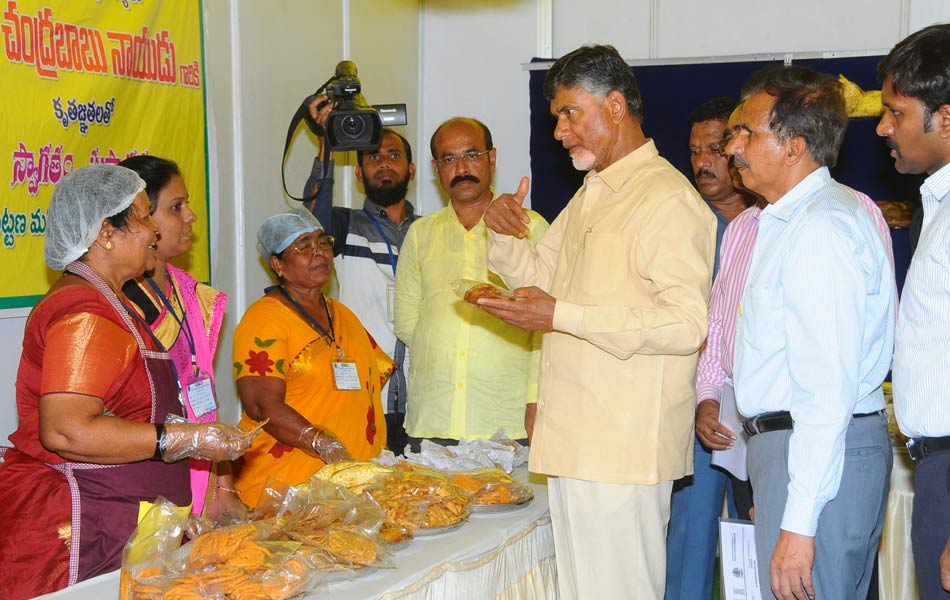 cm tour in kurnool - Sakshi5