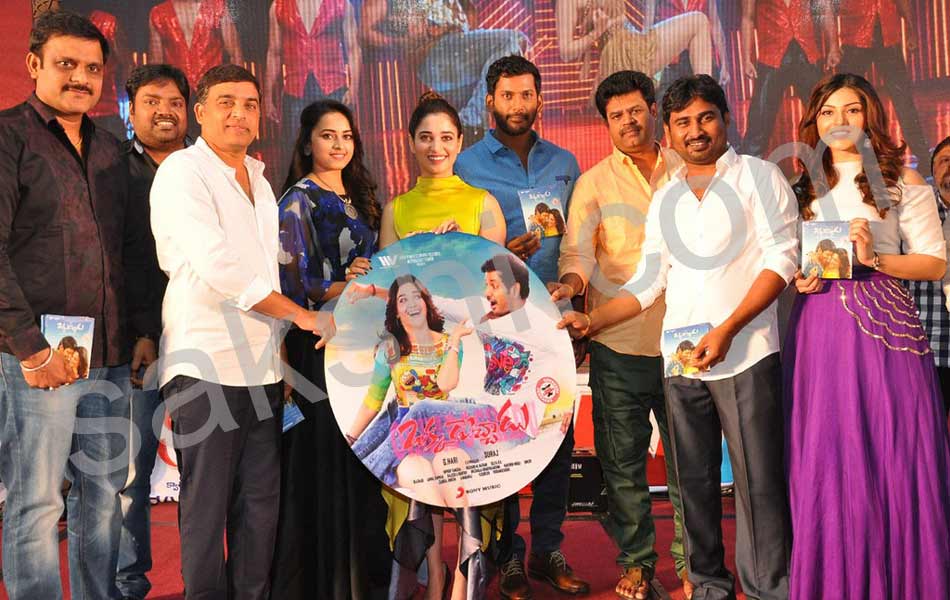 Okkadochadu Movie Audio Launch2