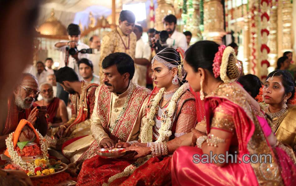 ali Janardhan Reddy daughter Brahmani wedding3