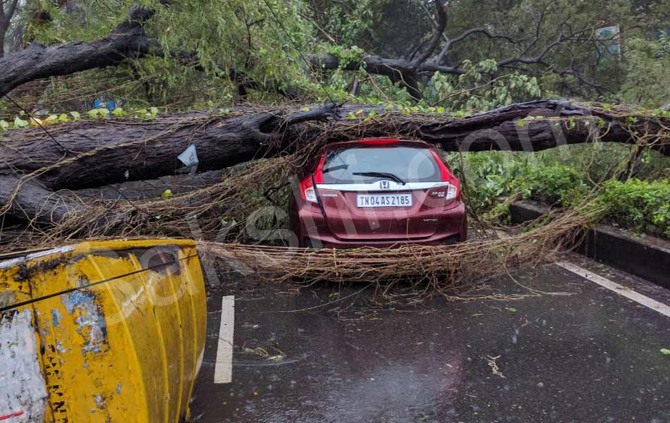 tamil nadu vardah cyclone14