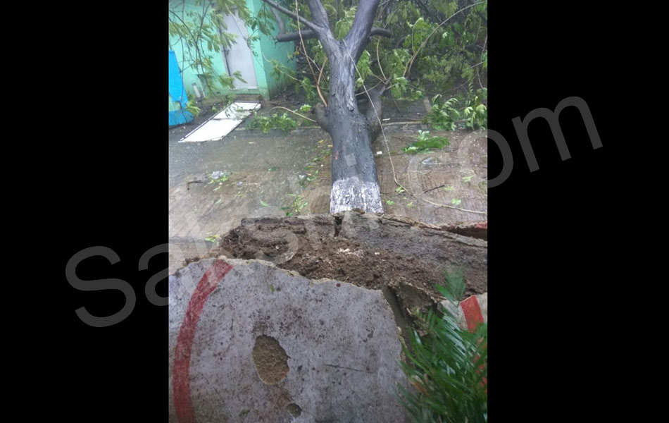 tamil nadu vardah cyclone19