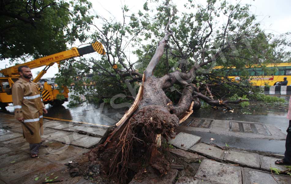 tamil nadu vardah cyclone29