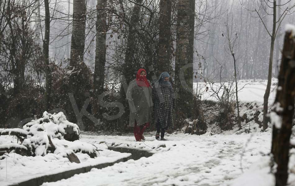 snowfall at North India attracts tourists24