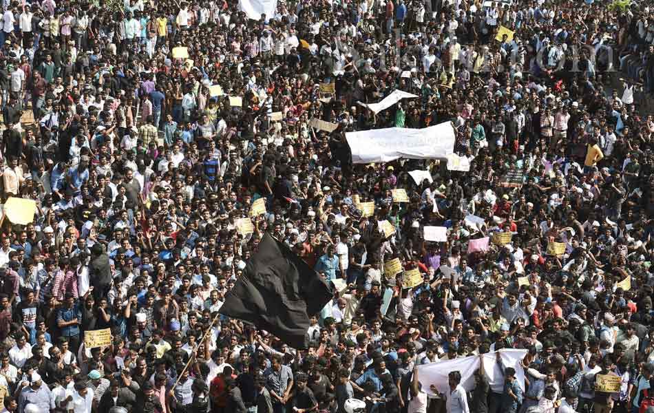 jallikattu in tamil nadu6