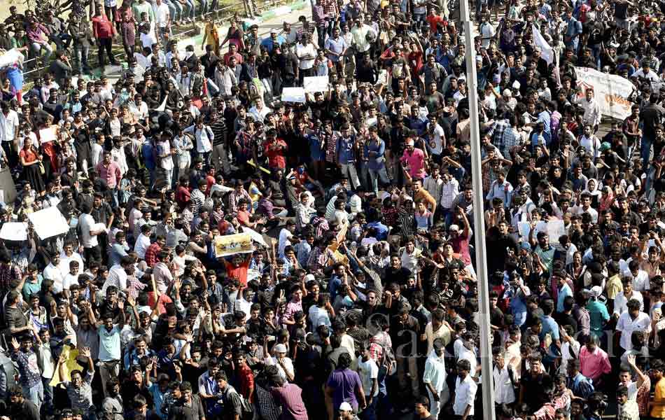 jallikattu in tamil nadu12