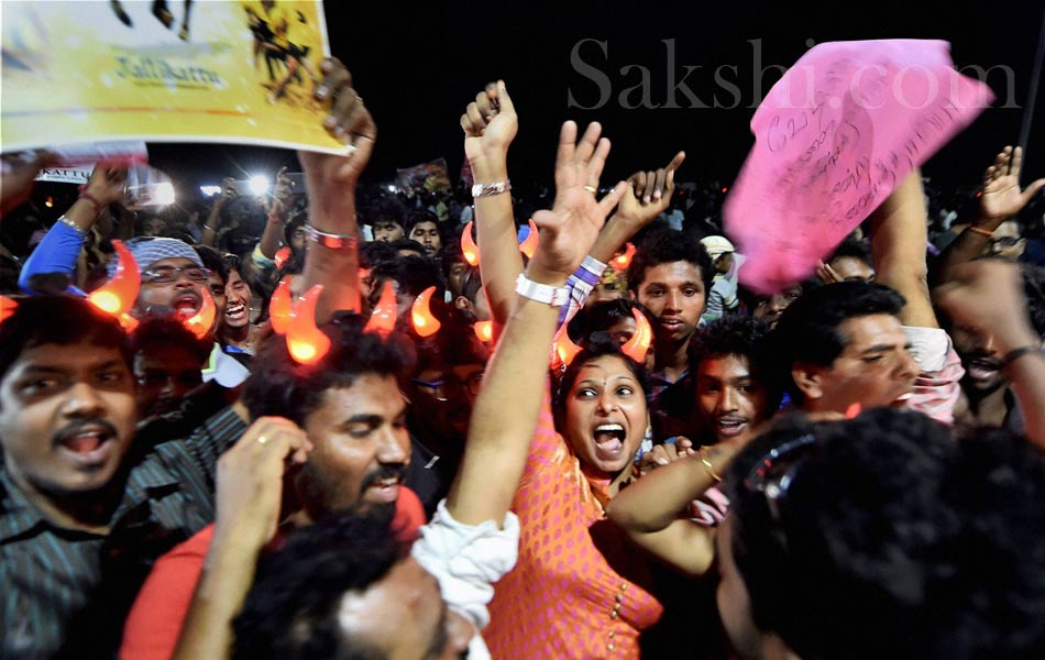 jallikattu in tamil nadu19