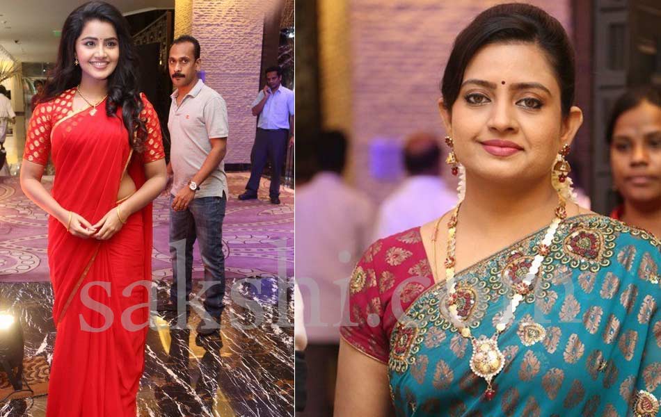 Shatamanam Bhavati Success Meet14