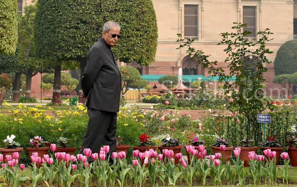 Mughal Gardens at Rashtrapati Bhavan9