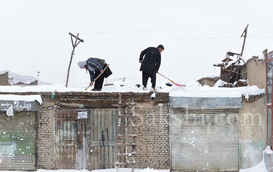 snow laden trees in Kabul9