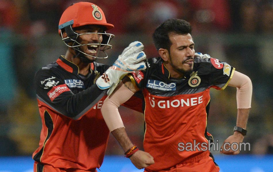 Royal Challengers Bangalore vs Delhi Daredevils3